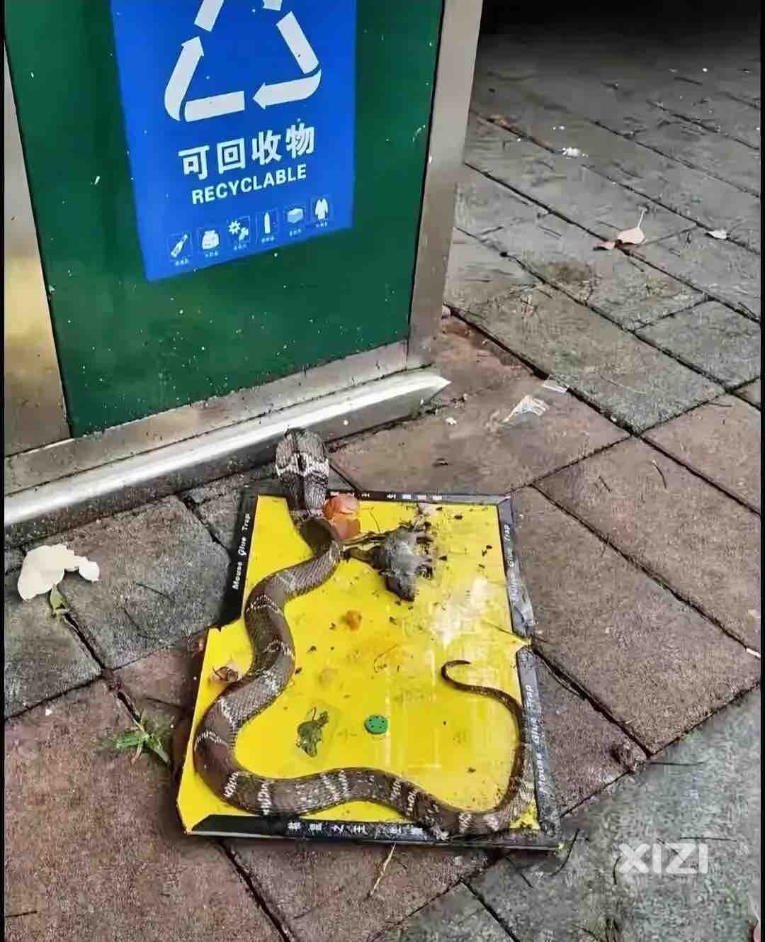 太闹心了！广东惠州