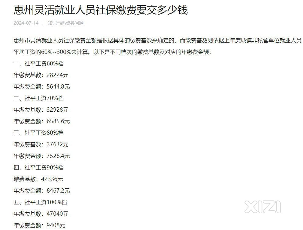 黄家妹子，你要的灵活社保缴费