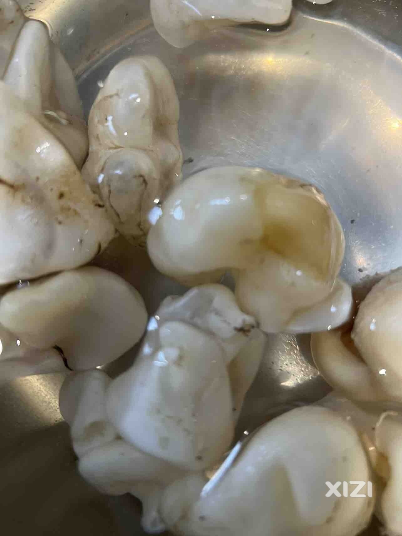 泡点塑料胶明天做接