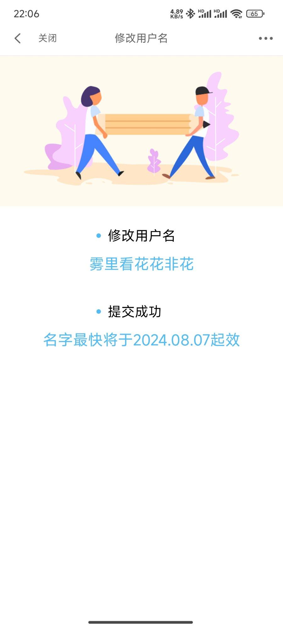雾里看花花非花