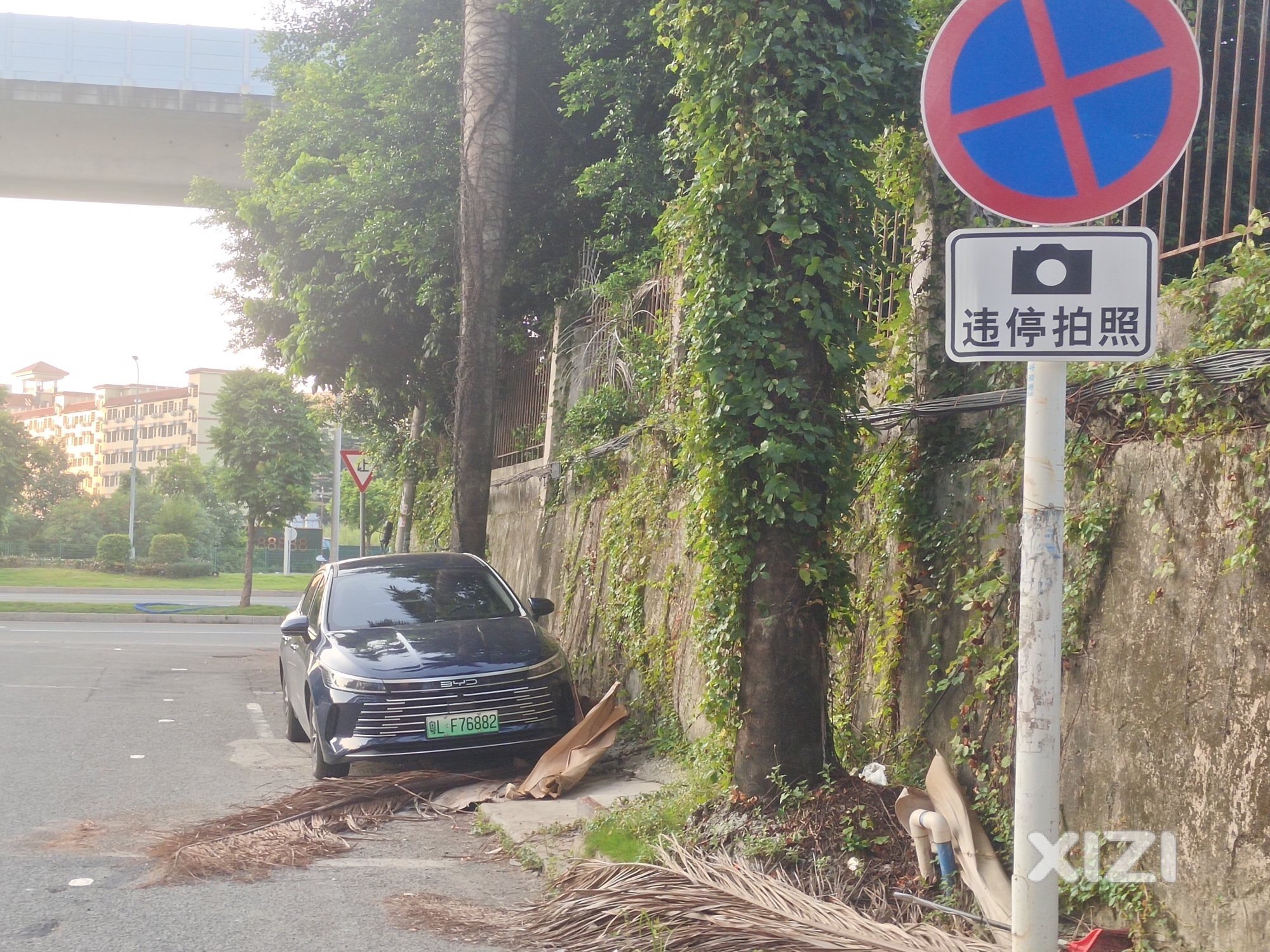 高手！停车高车！