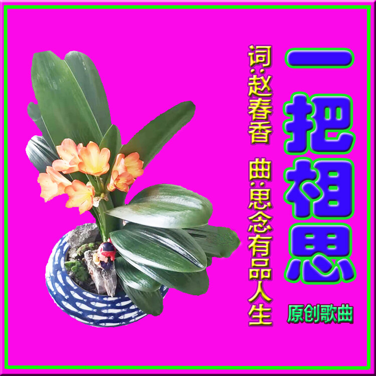 我拾《一把相思》送给你，让你的爱如鲜花美丽