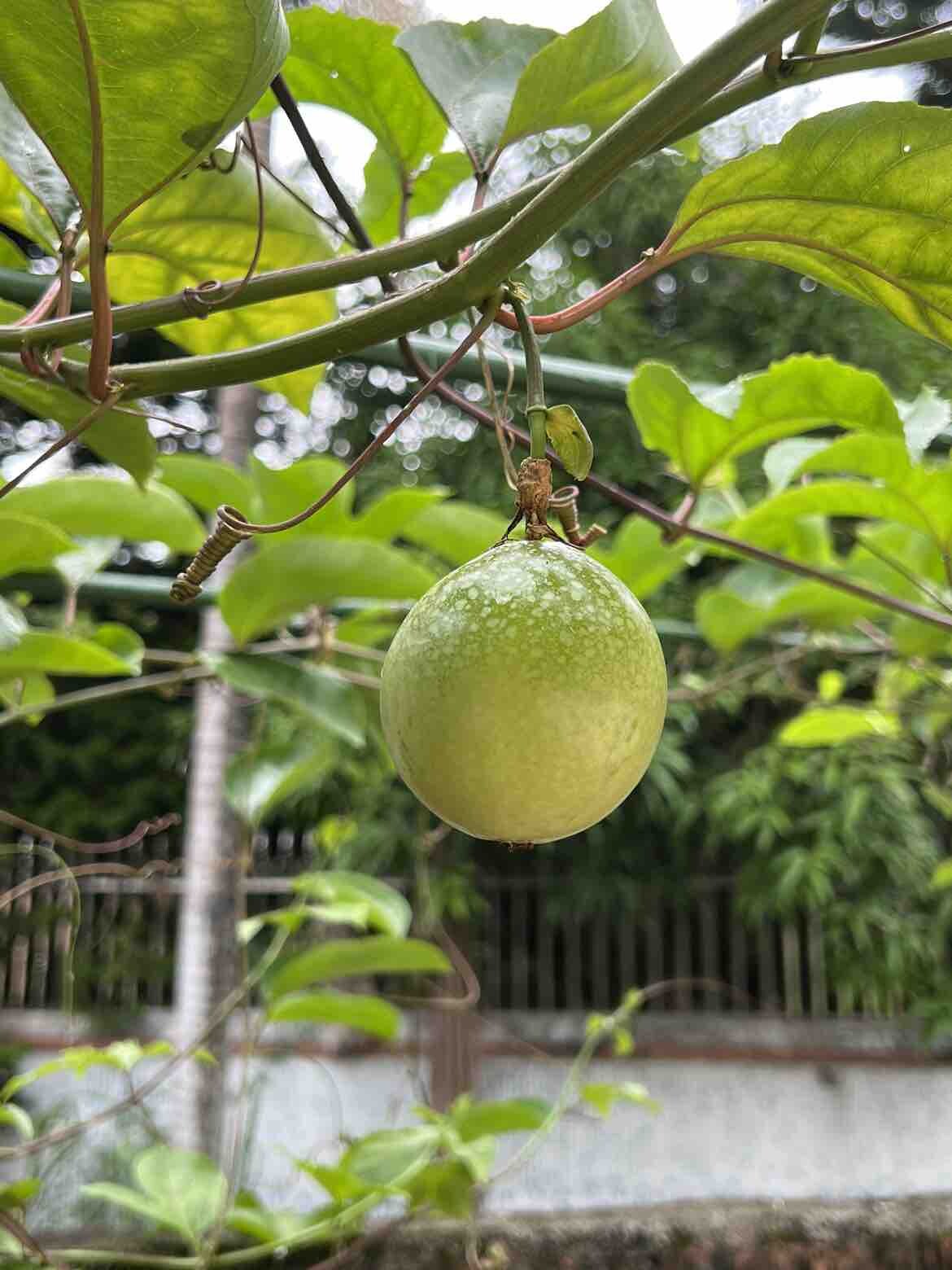 周末适合劳动
