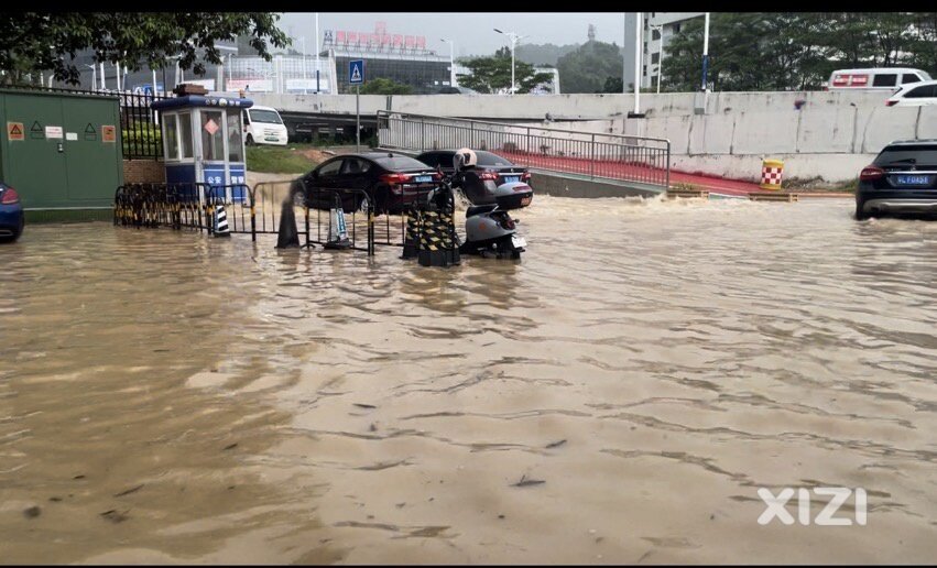 2024年8月12车世界水浸