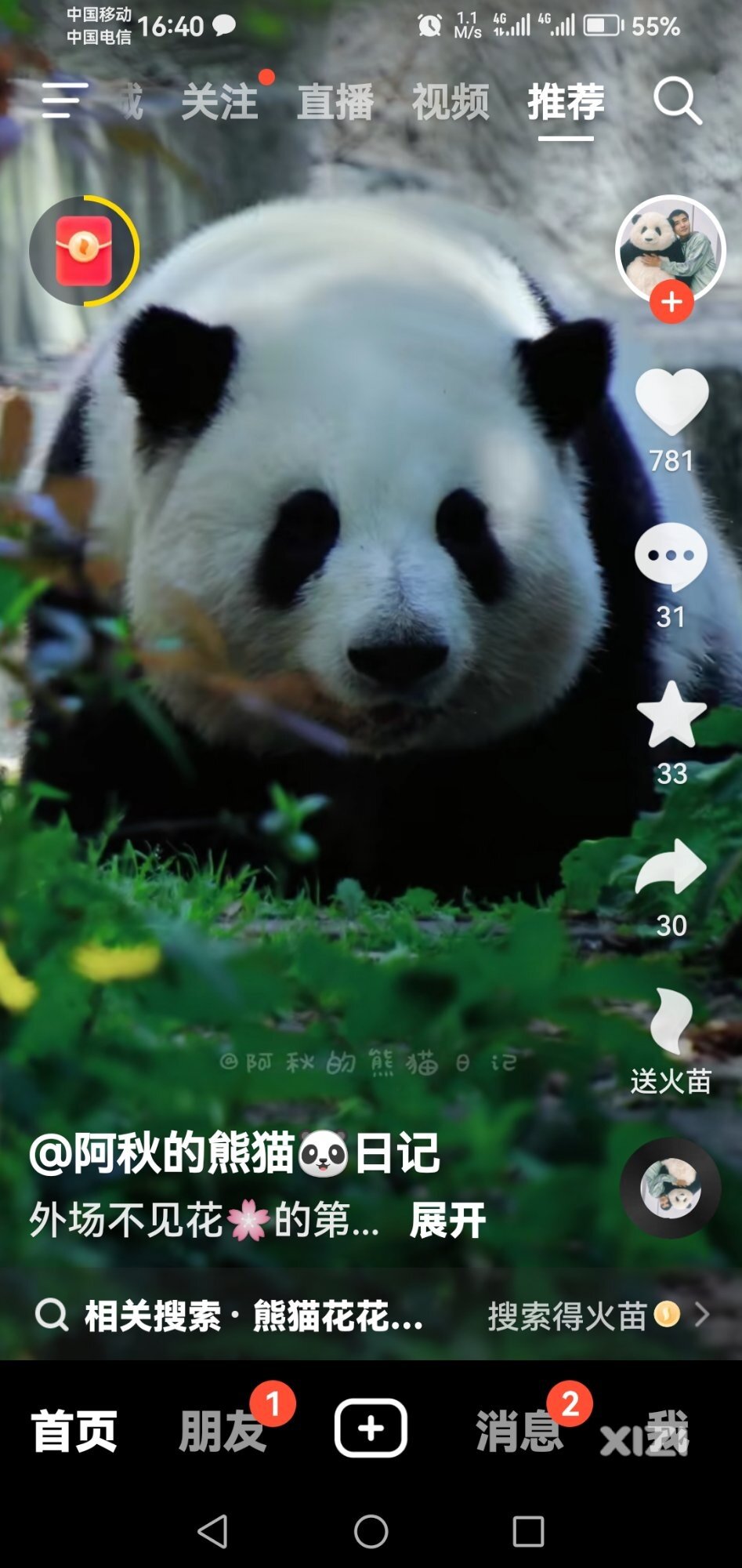 网红熊猫当中你最喜欢哪个