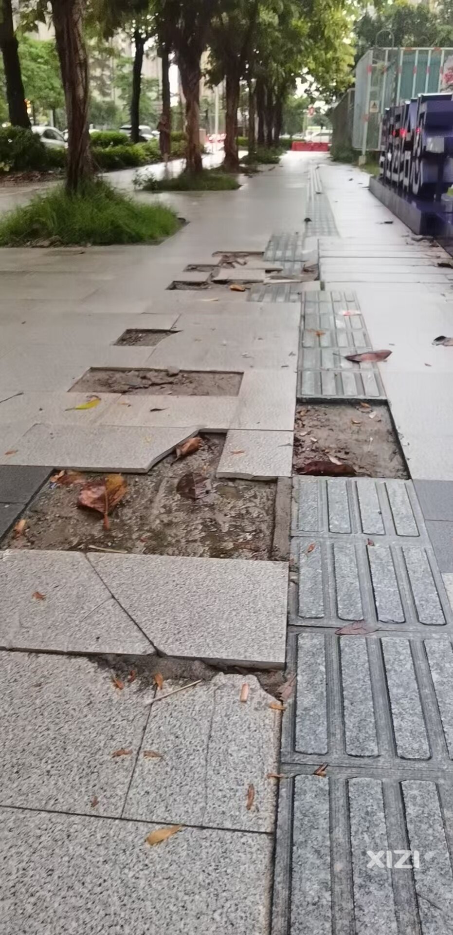 盲道坏了