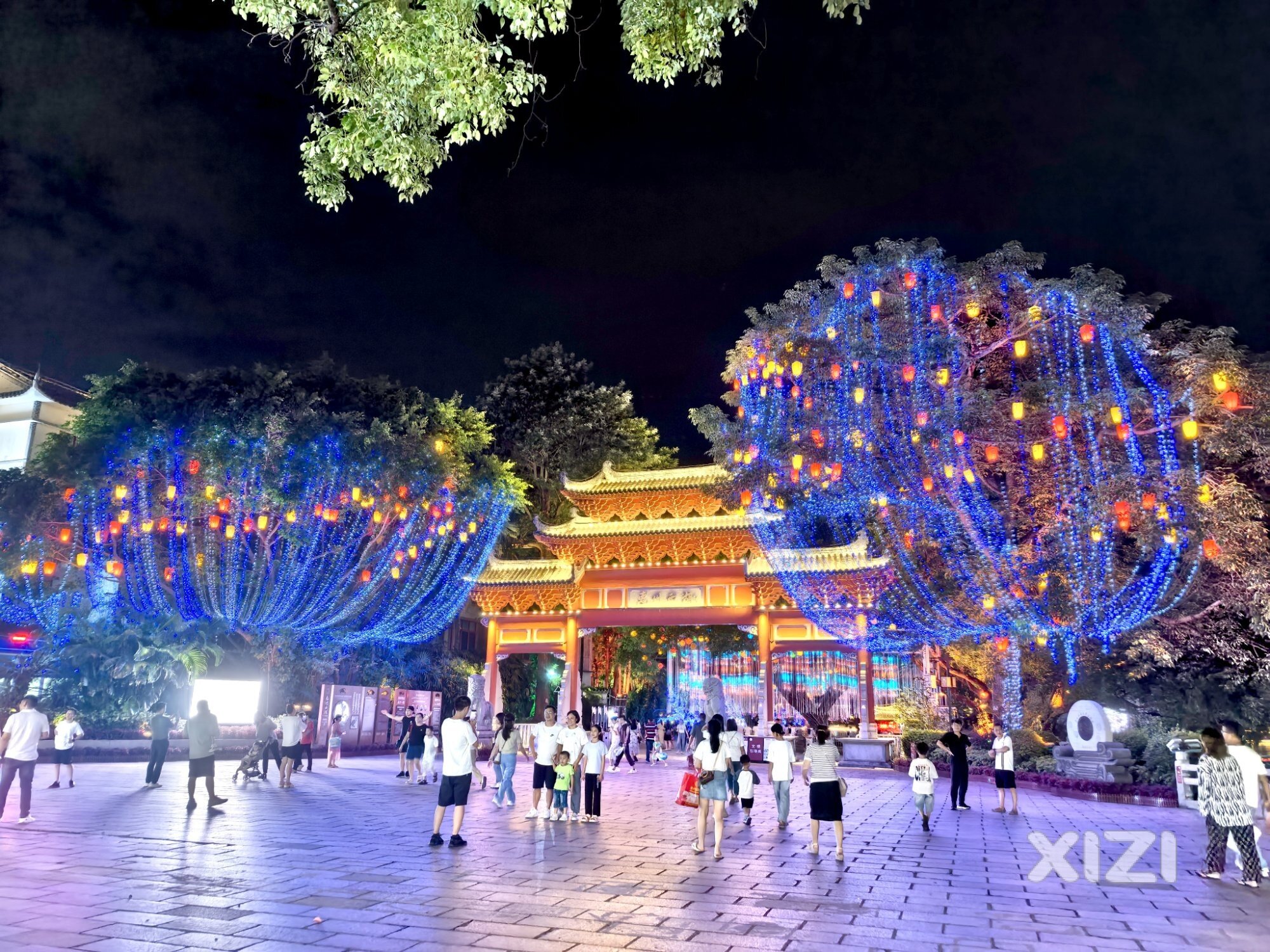 鹅城夜色