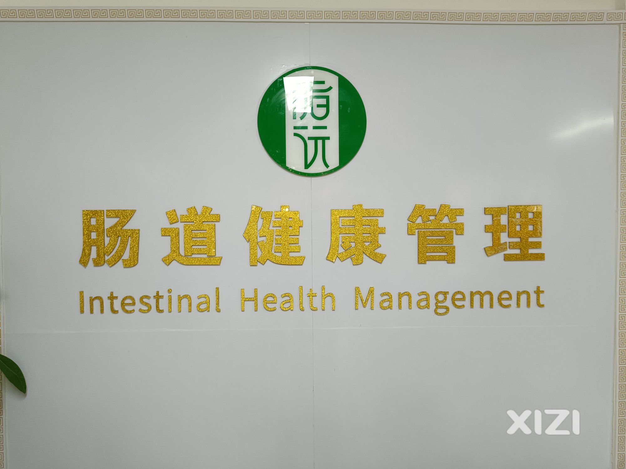 脂沅肠道健康管理中心的欢乐庆典