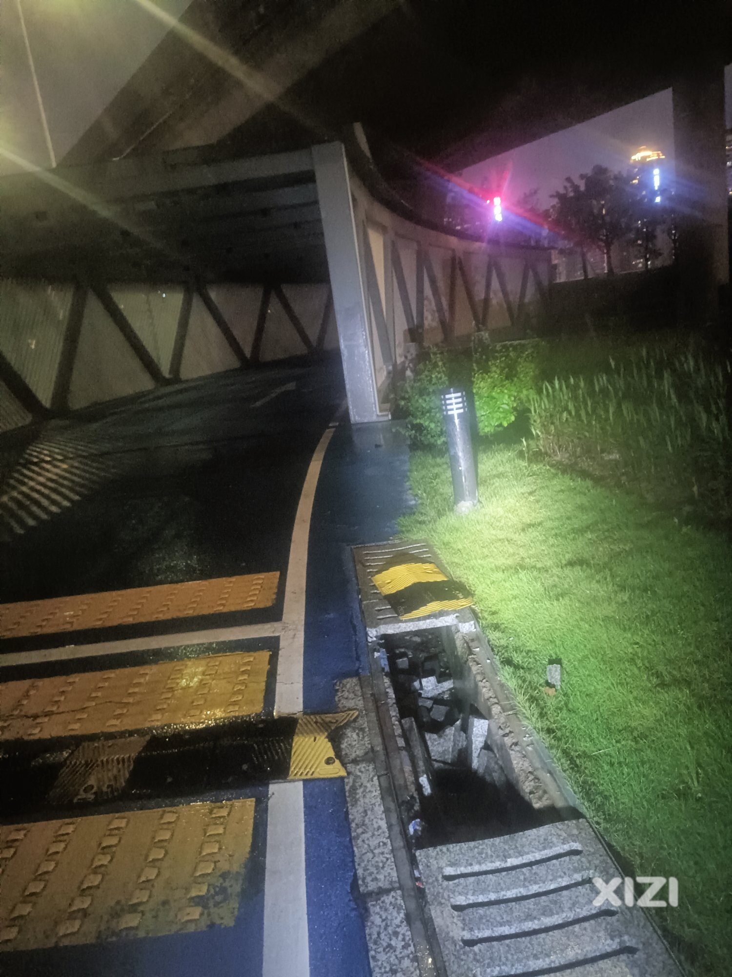 金山大道立交桥电动绿