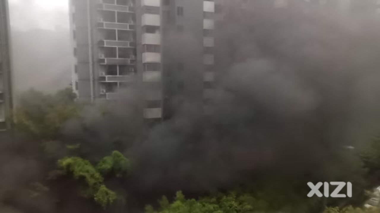 电车省油，喜提新车