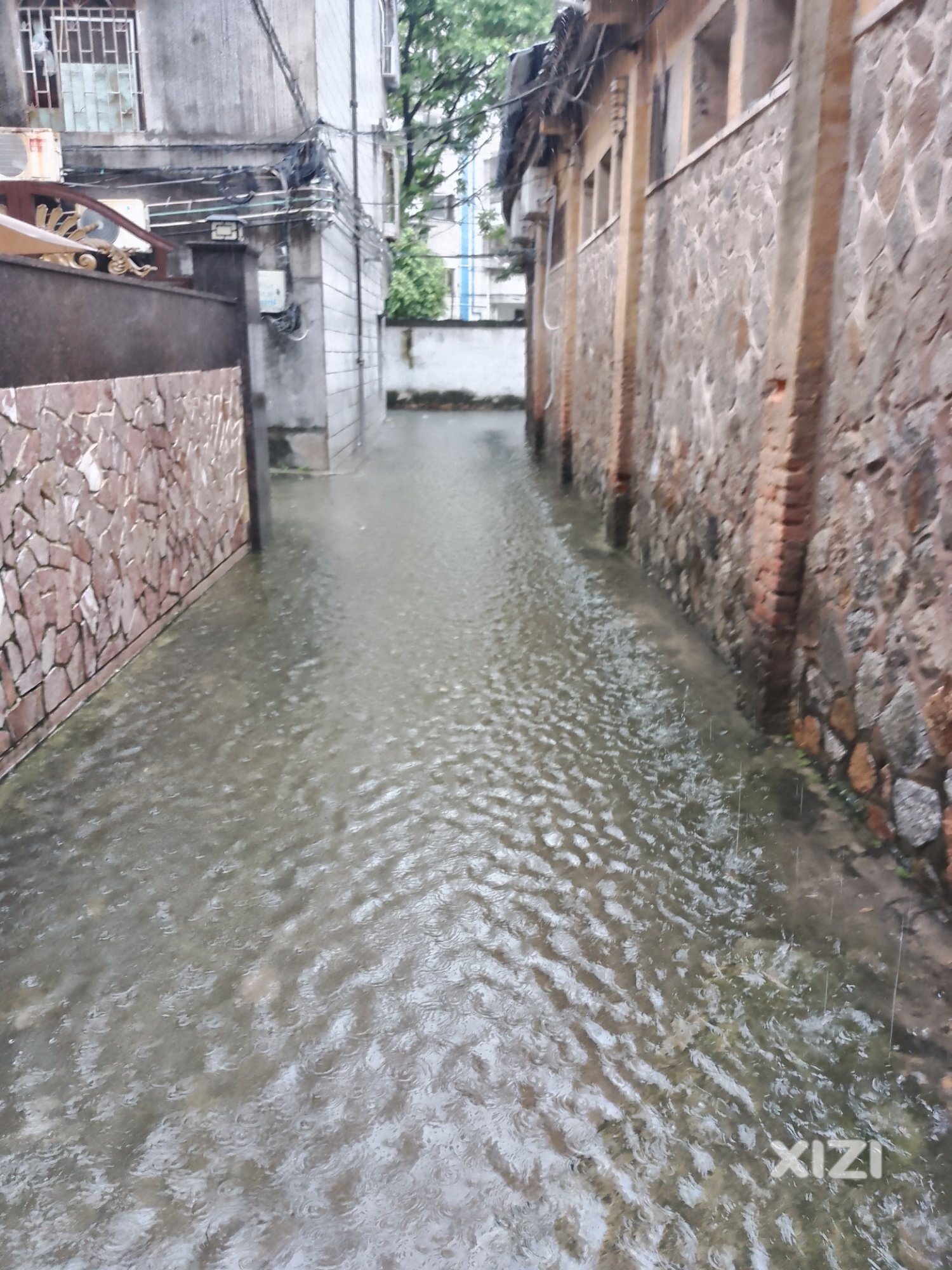 河南岸德赛楼后面这里