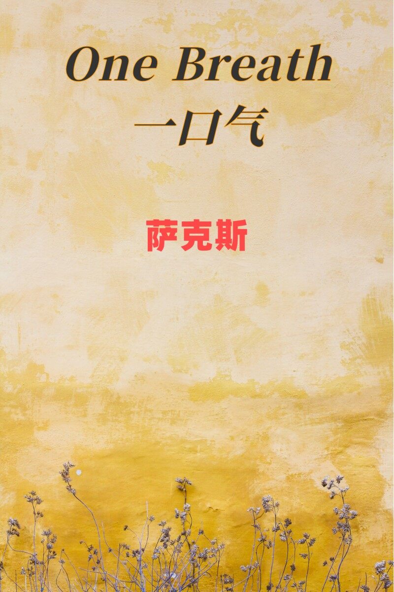看一下这个视频做的怎样