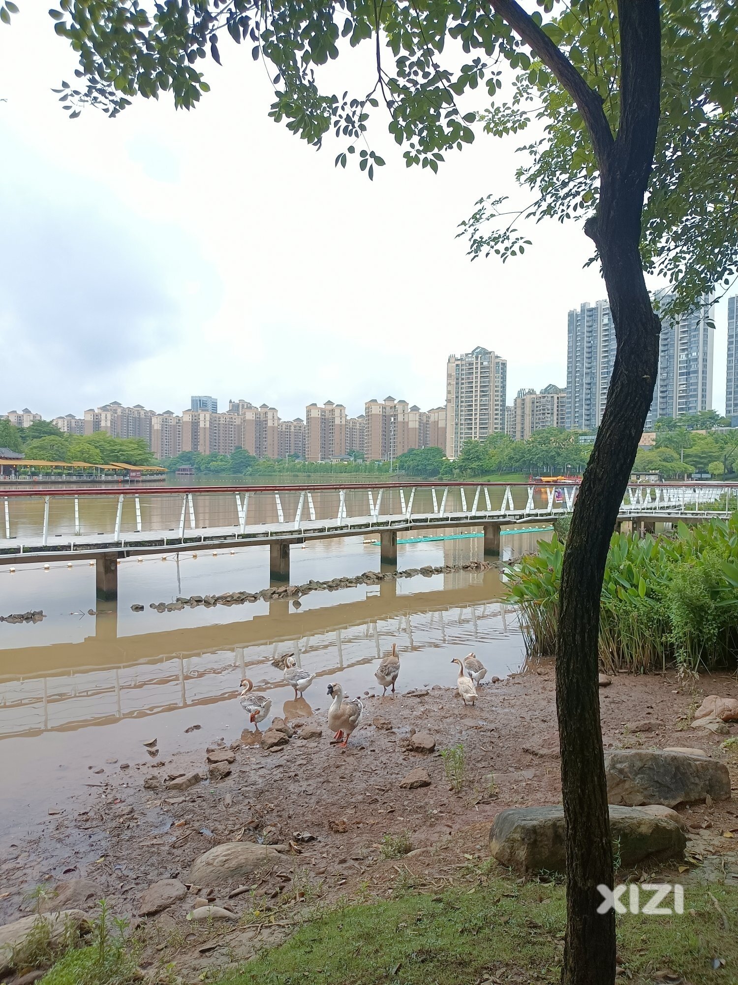 骑行墨园村