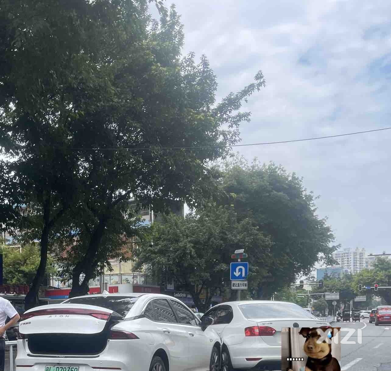 关于礼让，文明行车
