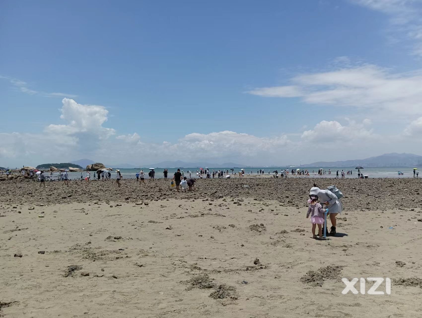 赶海