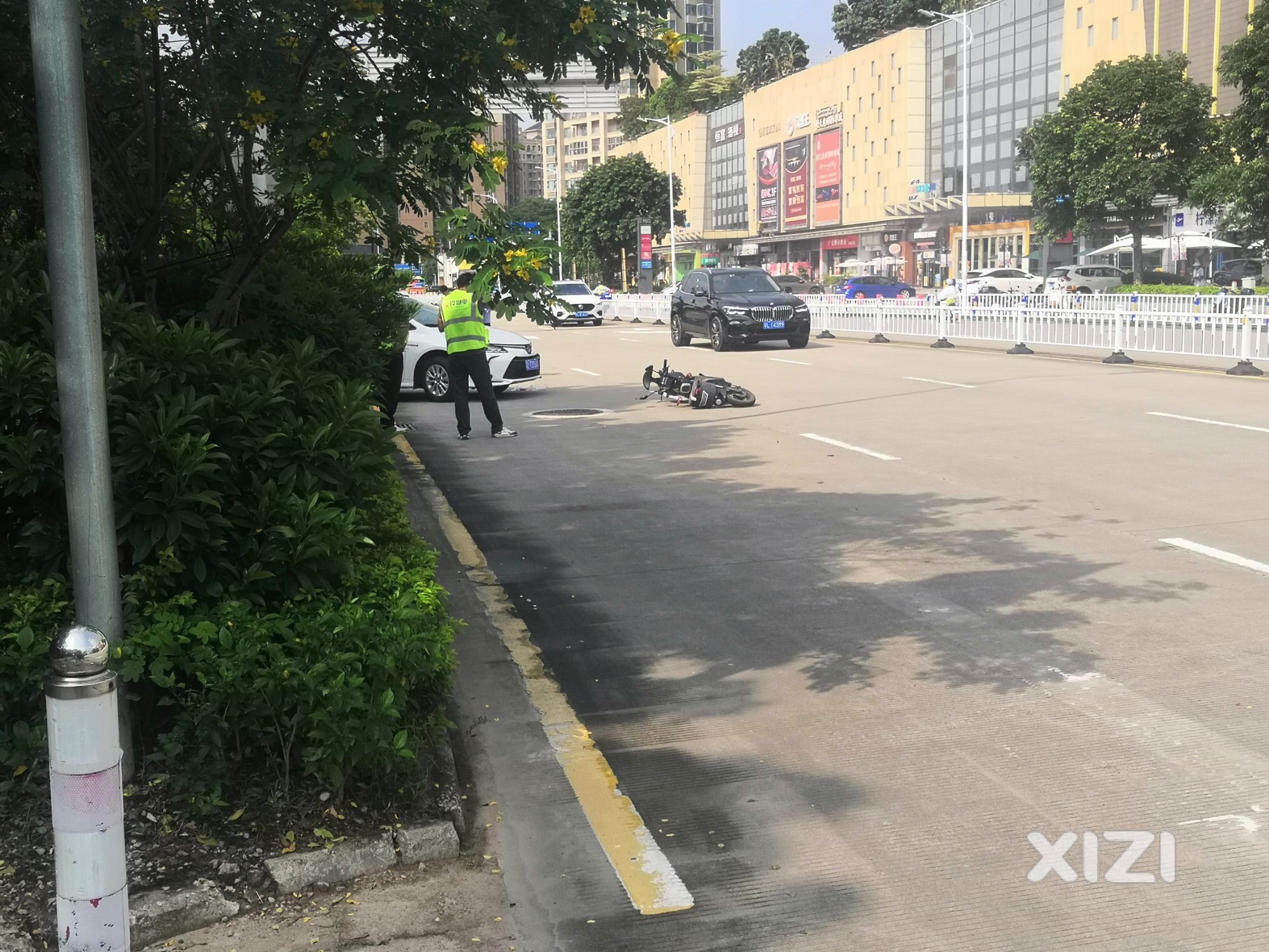 上午金山湖公园路边发