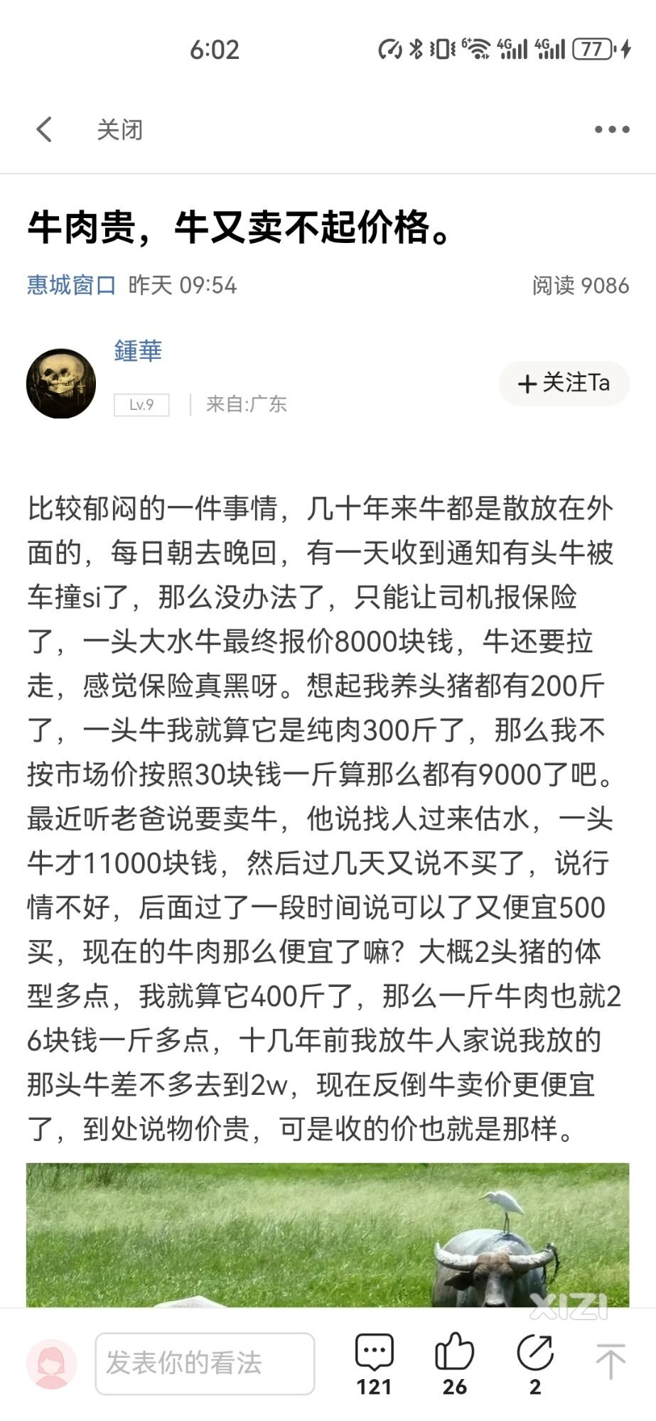 走过120省道横沥段的司机进来看看