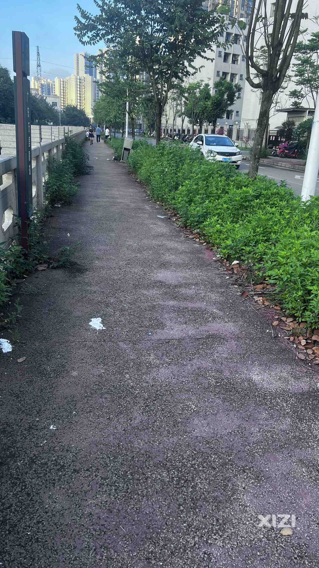 惠城区水口落塘渠是无