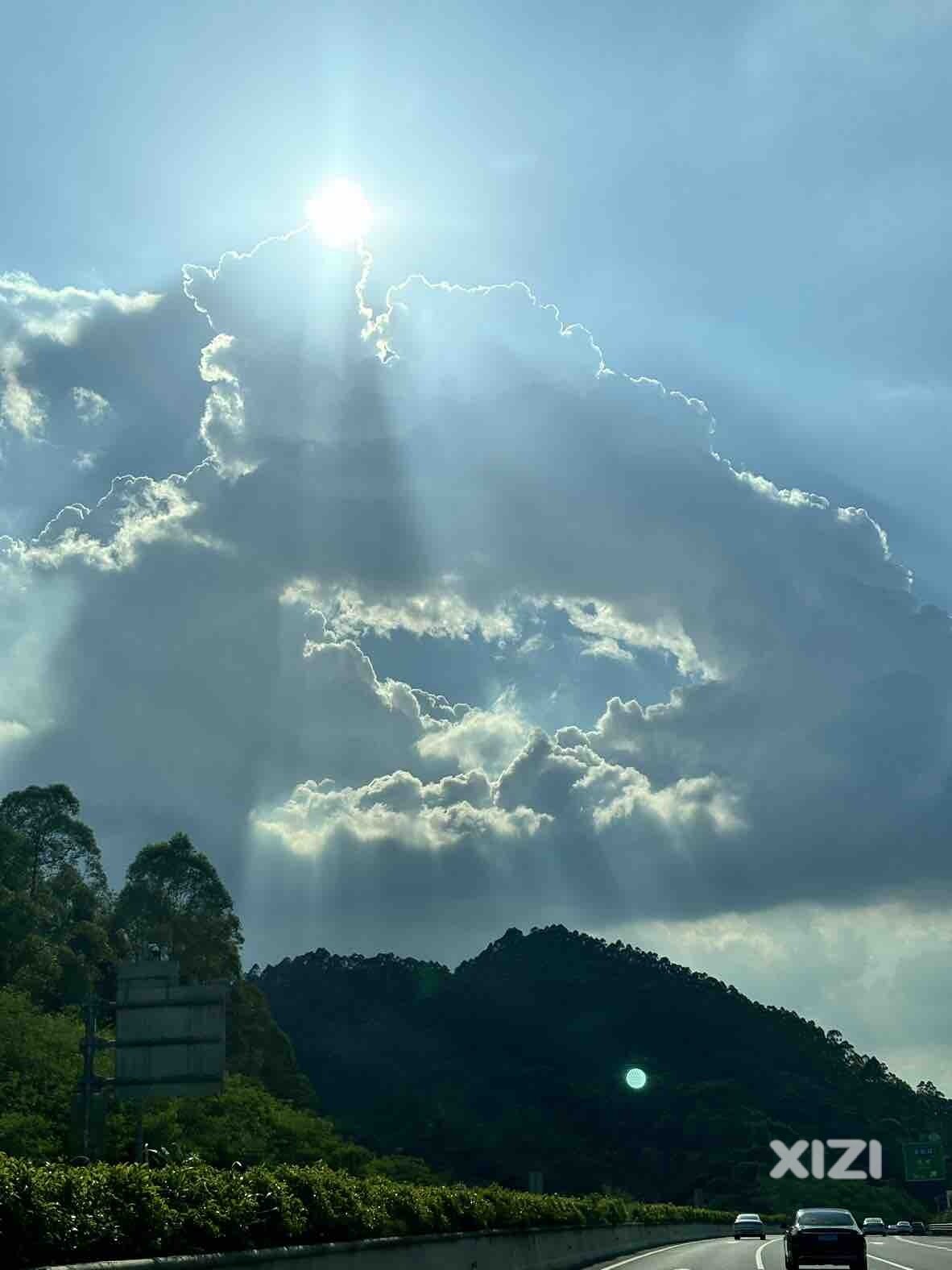 “达利园”