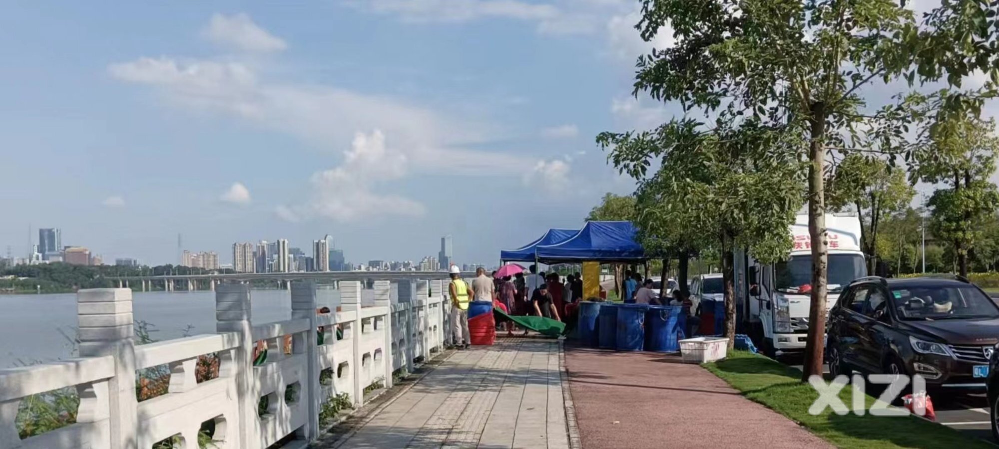放生很多鱼