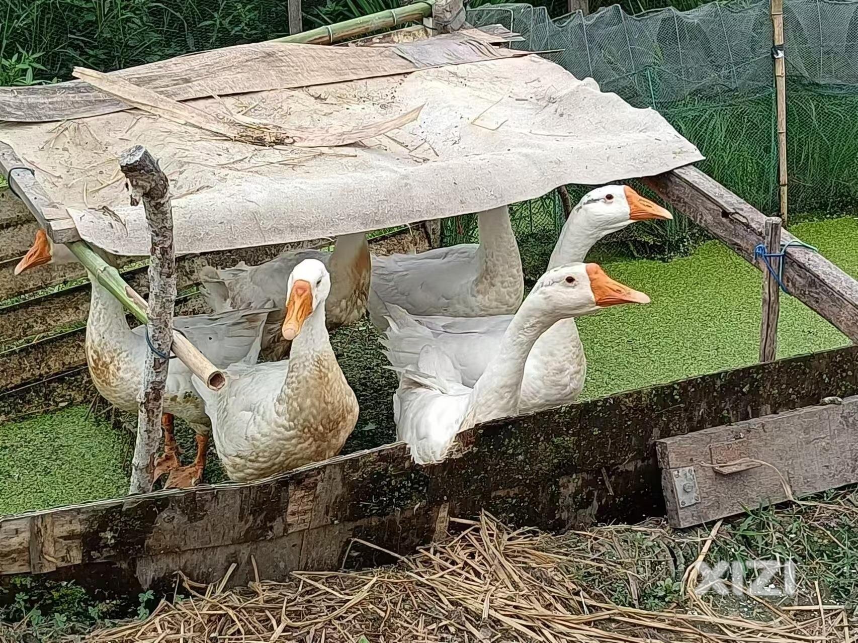 行者争途，台风要来了，一建考是不考？