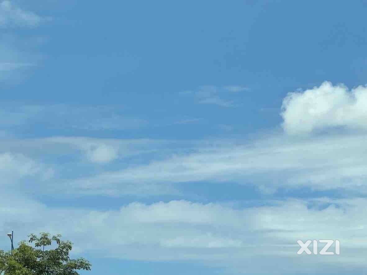 我本无意和风提及你，