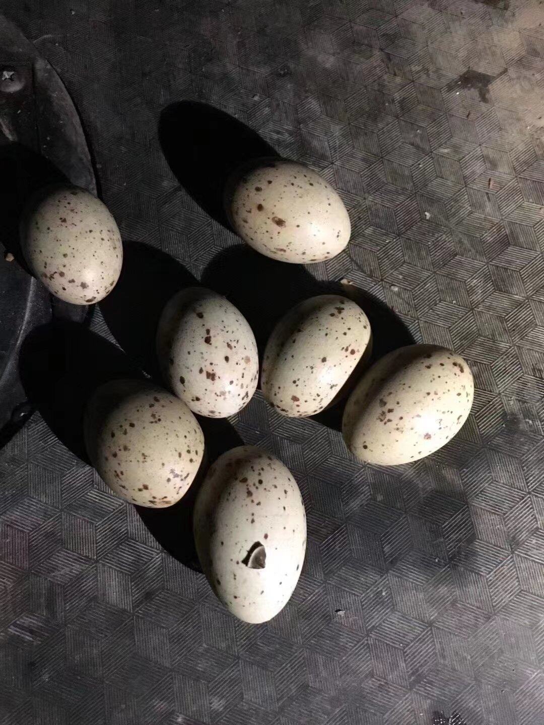 整理老瓦房，看到这些