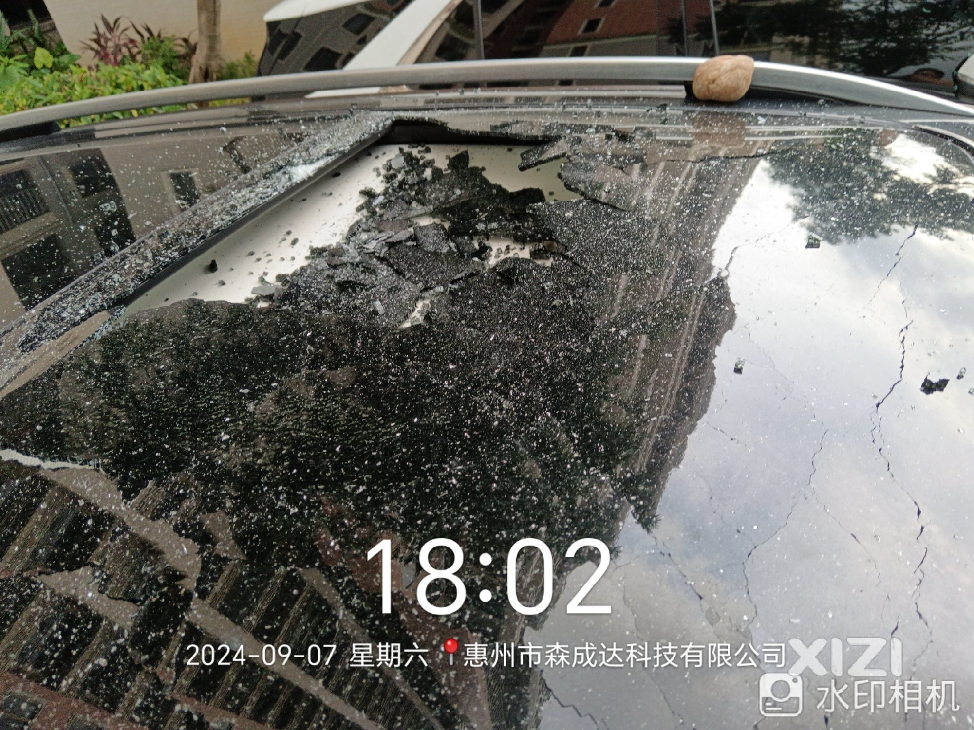 陈江荷兰小城物业不作为，高空抛物不承担责任，消防安全存隐患。