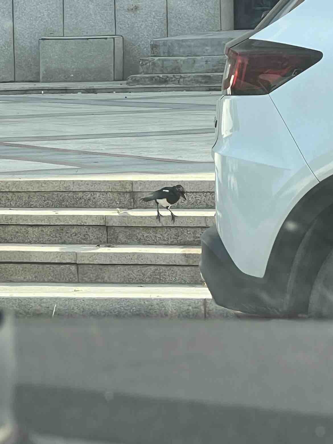 减肥方式，多跑点路…