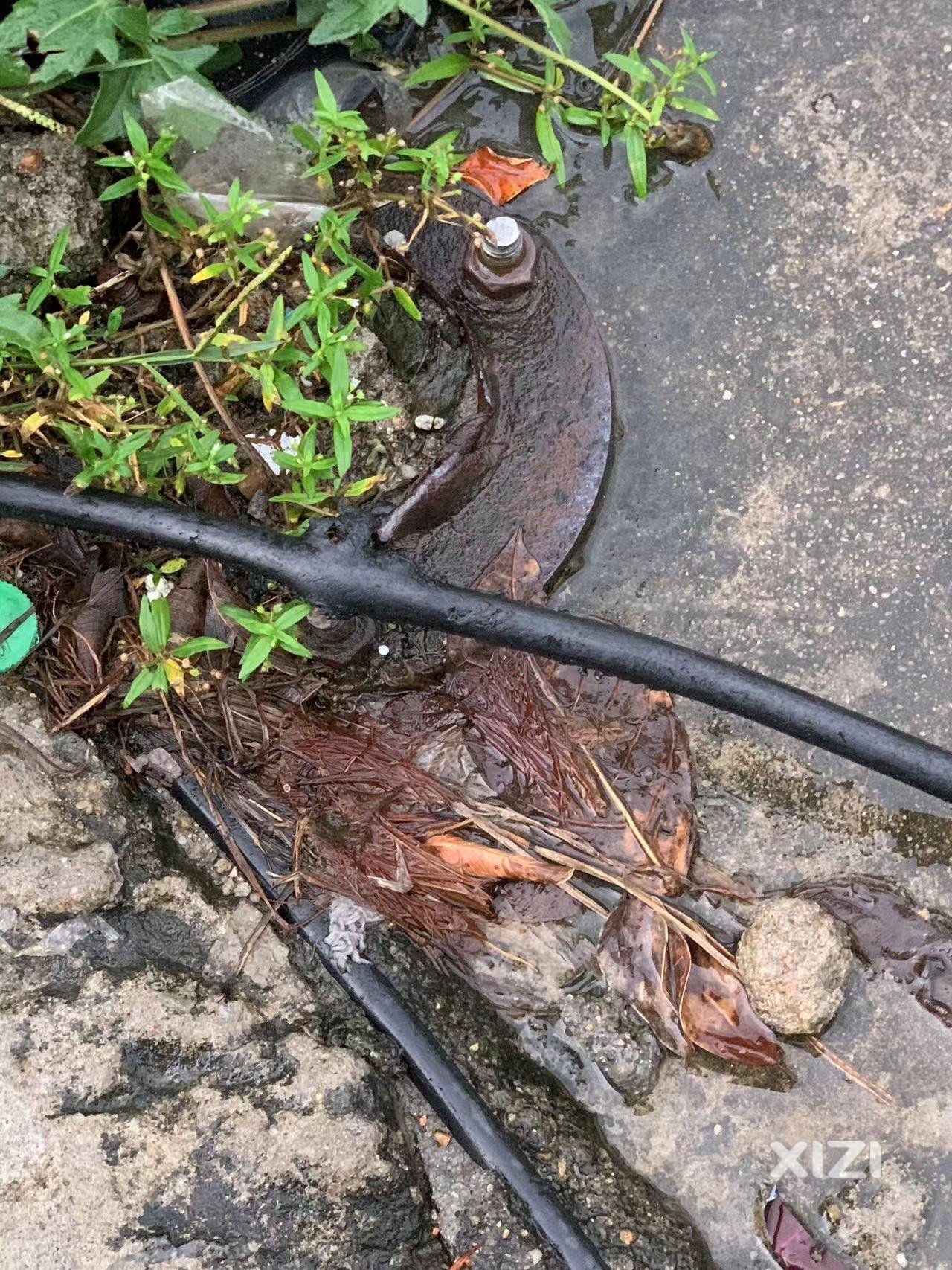 惠州仲恺沥林车站路边监控电源线破线了