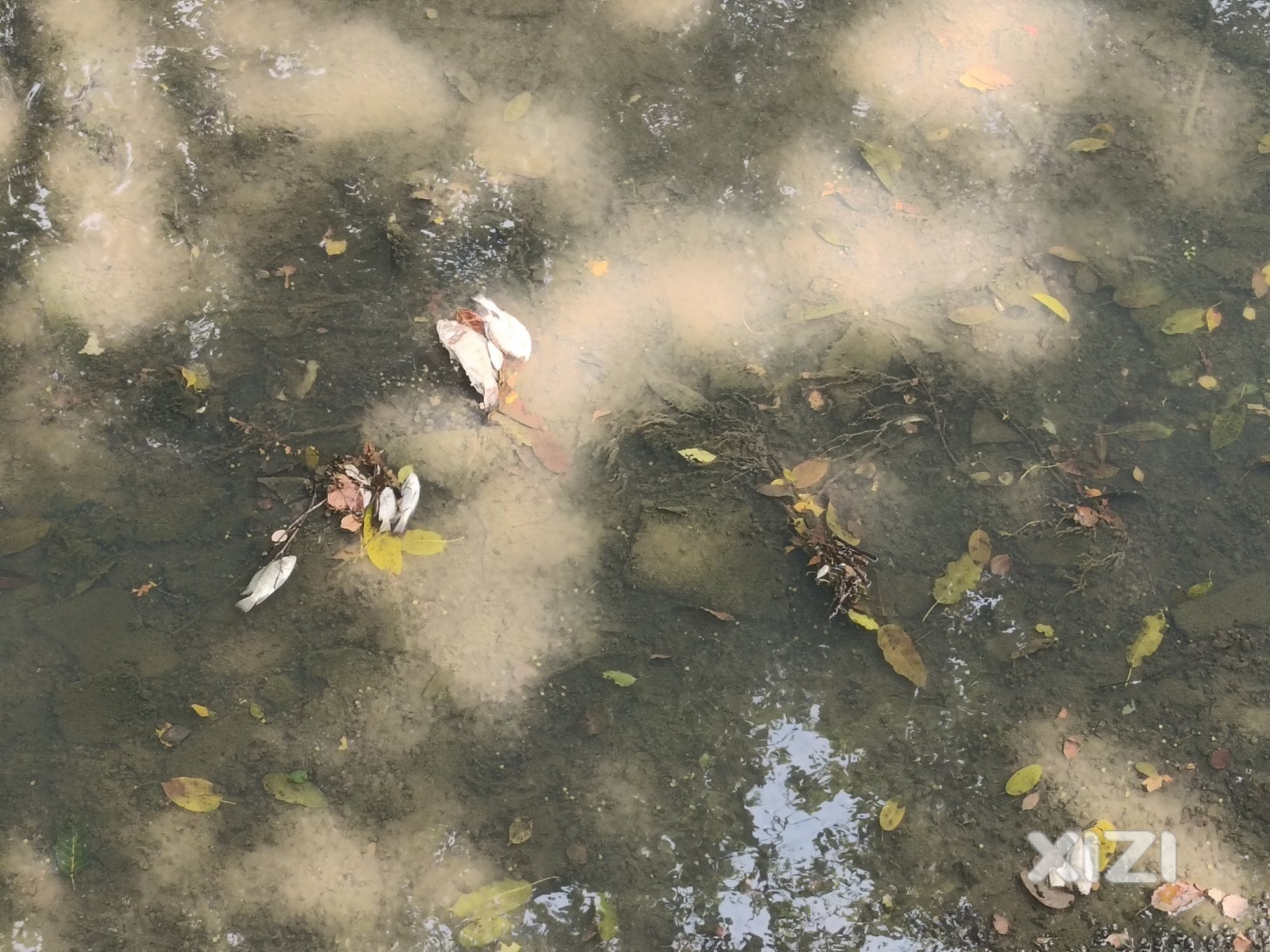 榕溪河