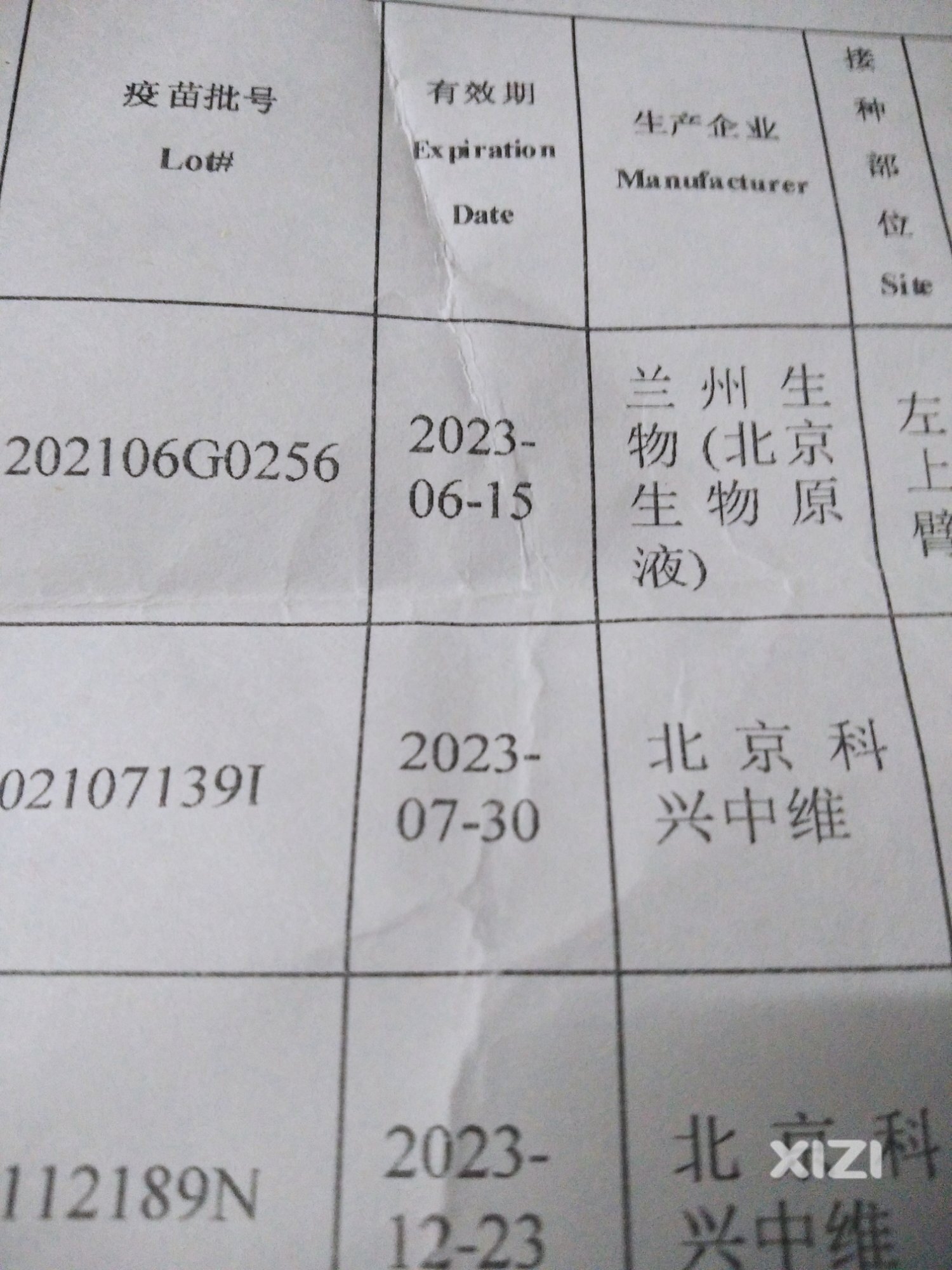 被疫情耽误的三年光阴