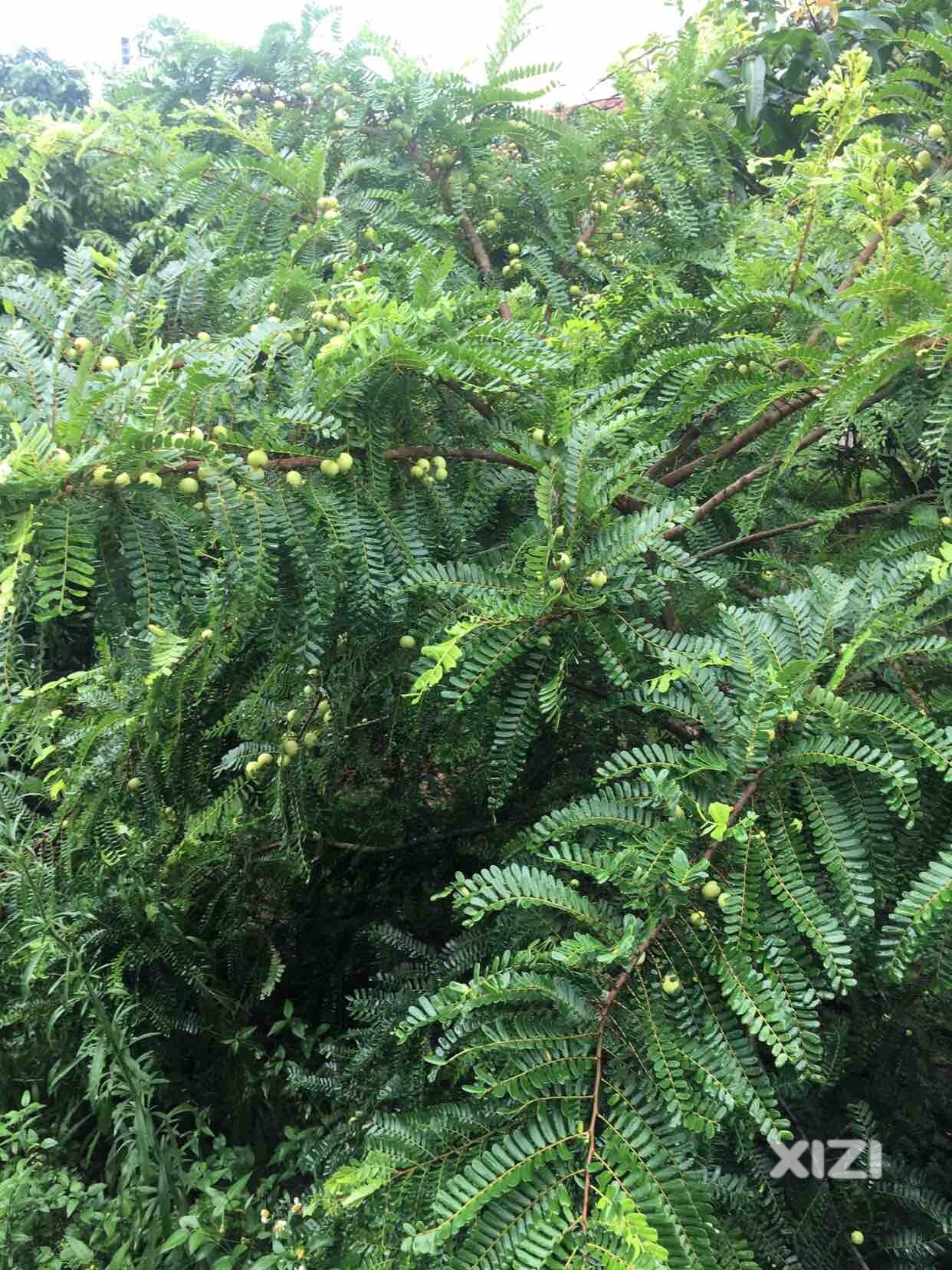 雨后的空气贼清新