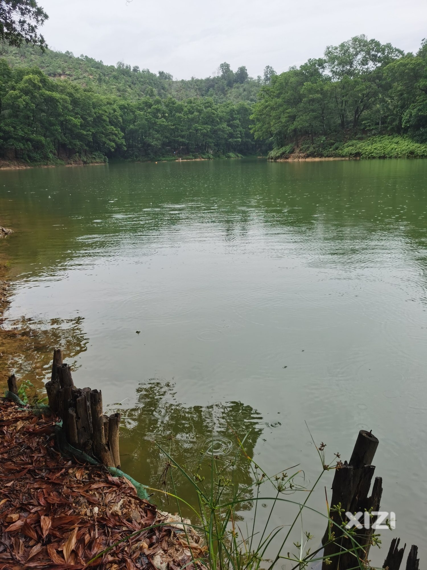雨中的红花湖
