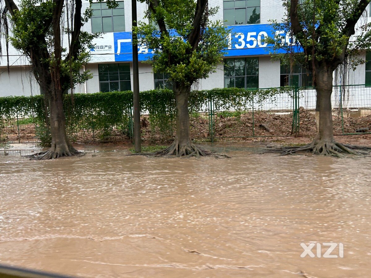 惠州龙湖大道积水很严重啊