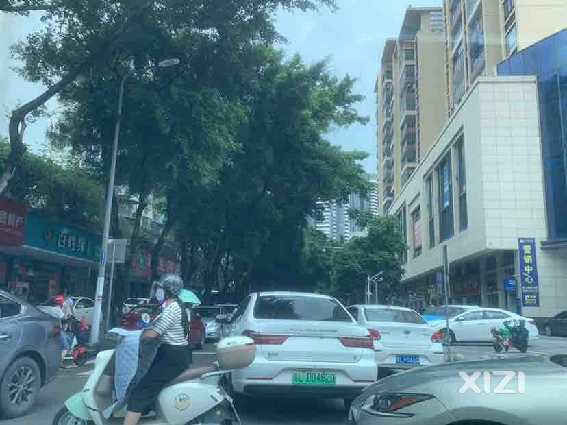 希望相关部门好好管理一下违停车
