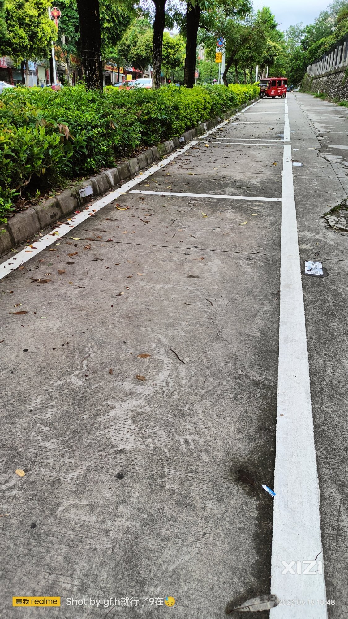 自从路边停车收费了，