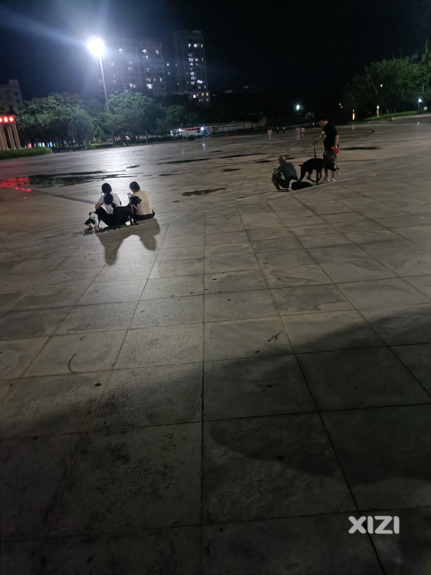 说不带宠物进广场的呢