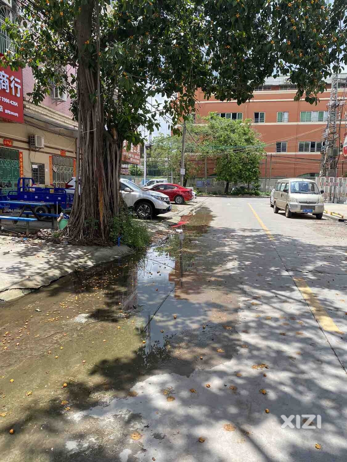 德政大道和德昌街交叉