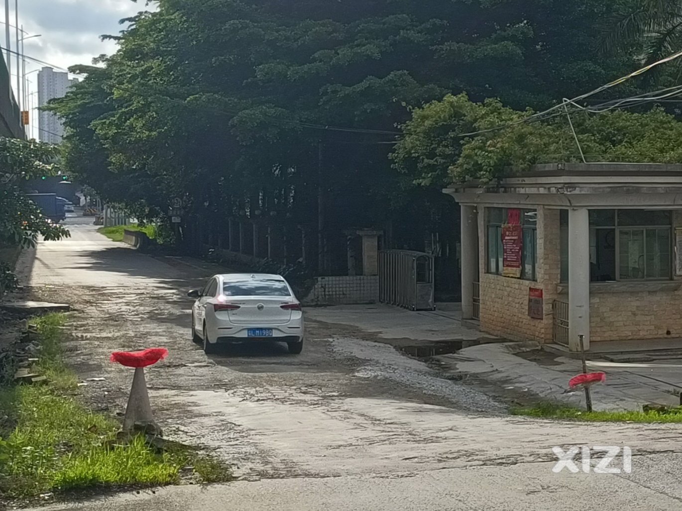 这道城市风景线，让你读懂惠东文明城市
