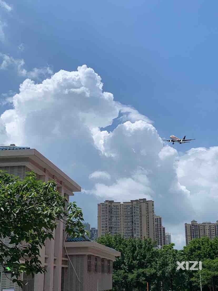 晴空万里大朵云