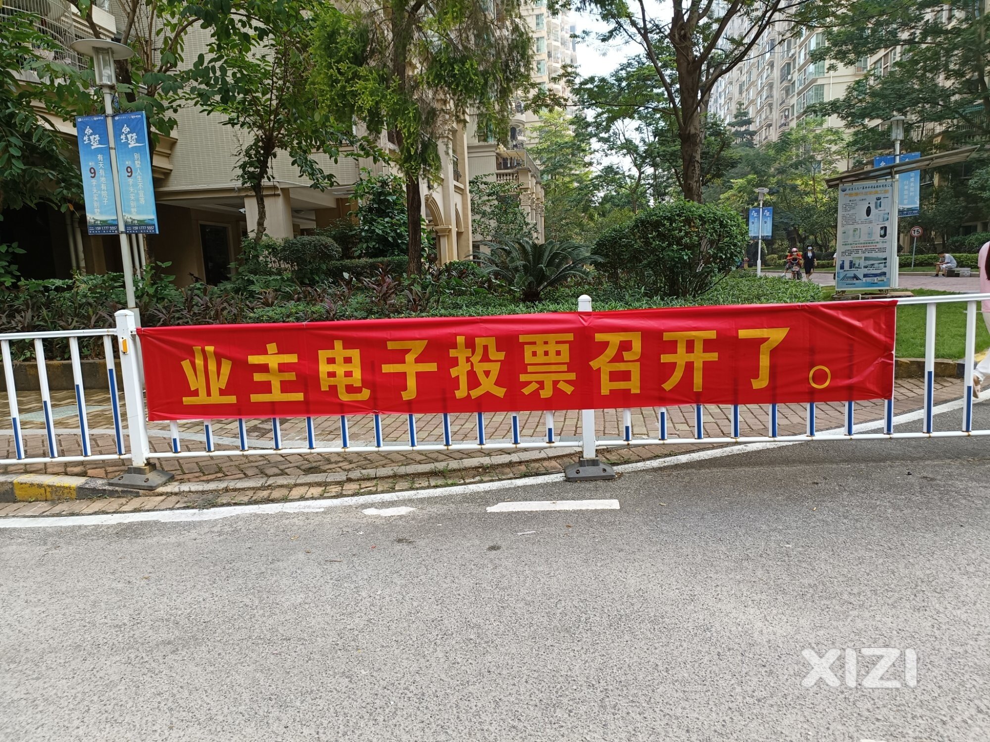 投票啦！投票啦！投票啦！