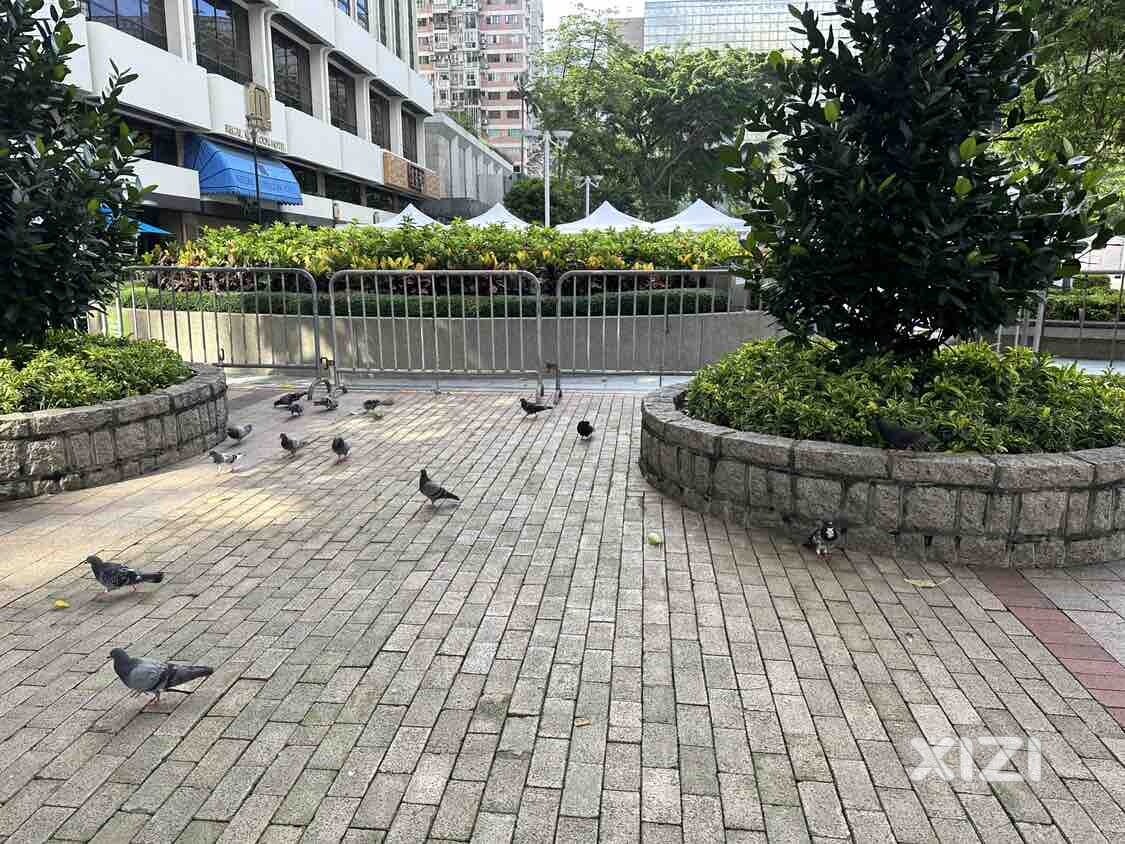 不愧是鸟类天堂[左看右看]