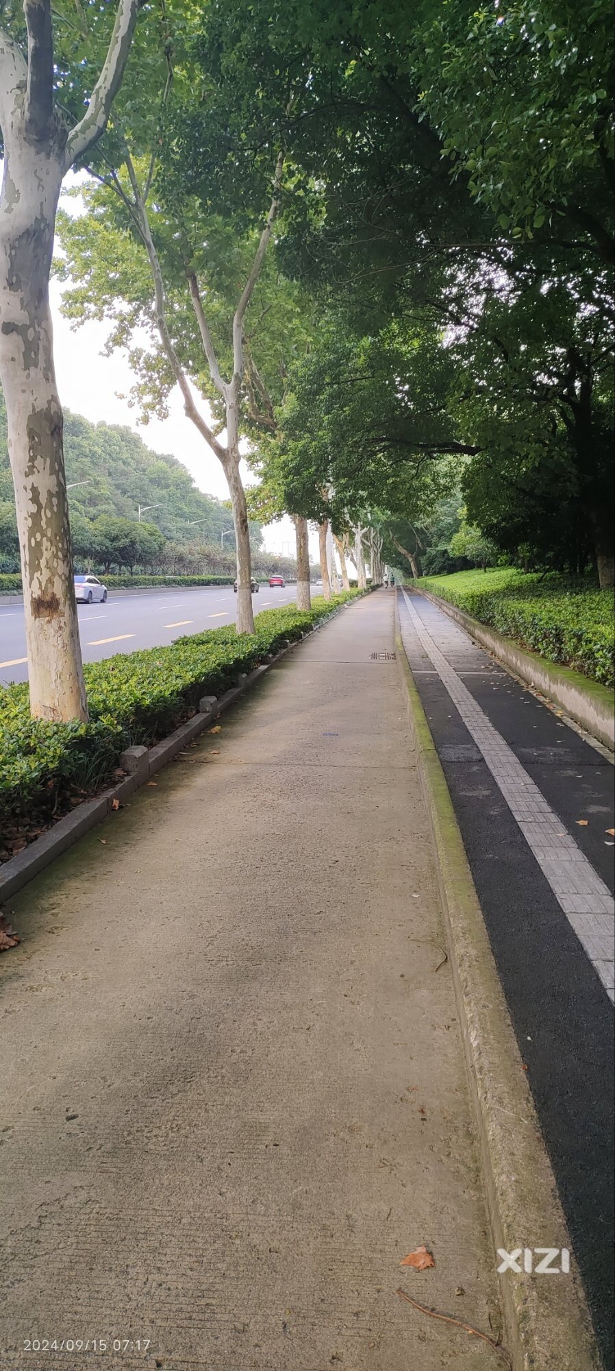 再骑南京