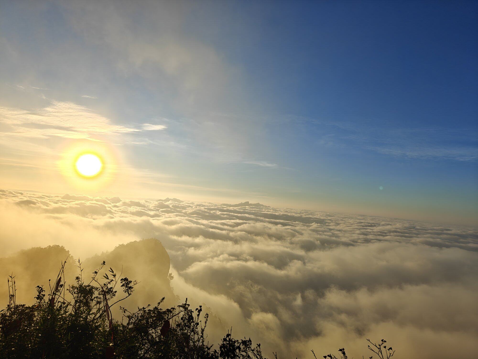 好治愈的风景