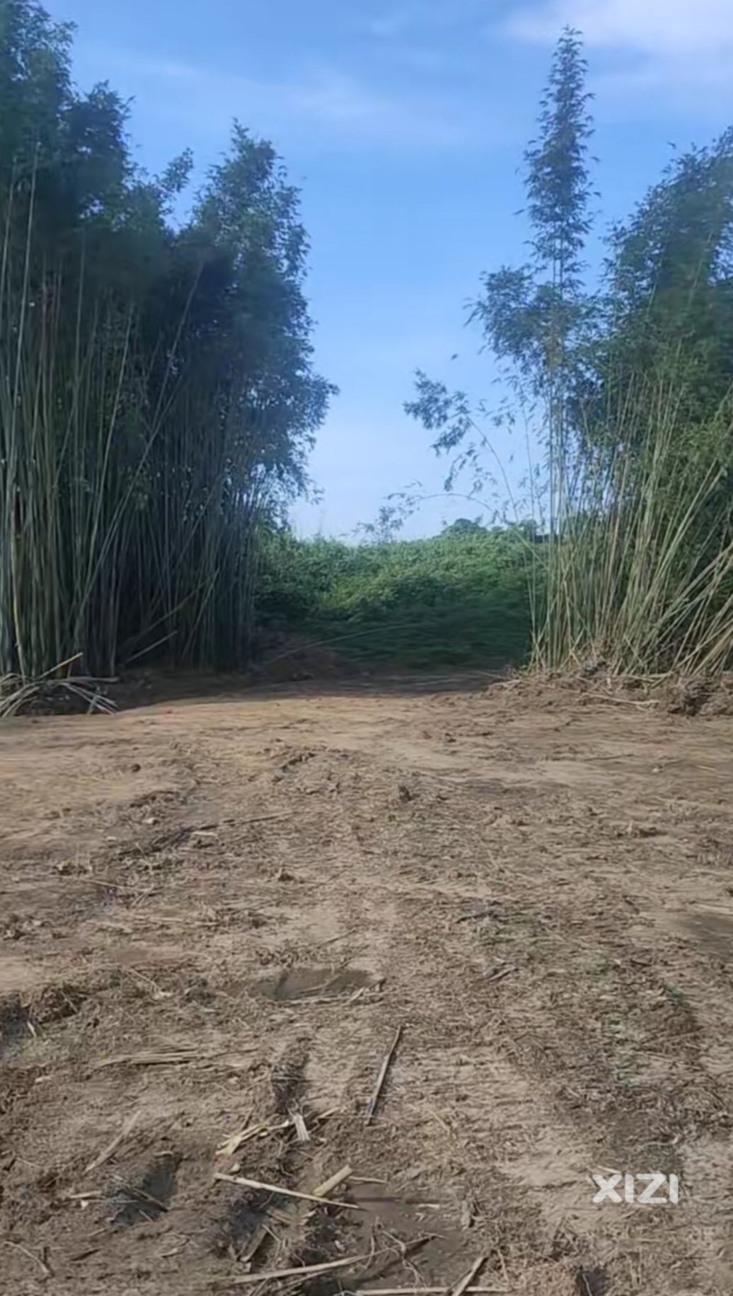 随着环城西路即将建成通车。池竹村民委员会的地也迎来大开发机会