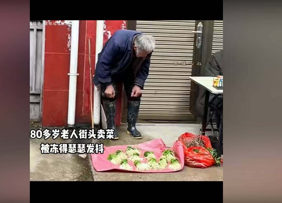 看不得这些