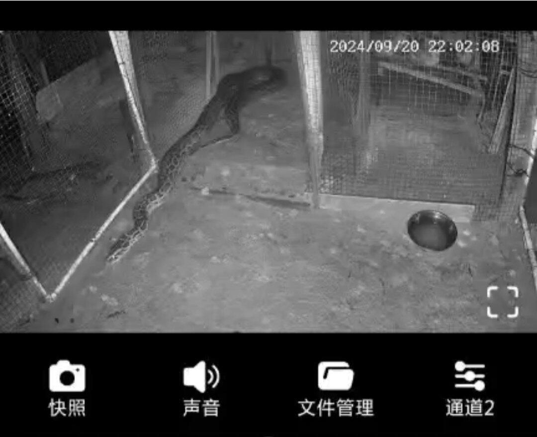 新农村新生态