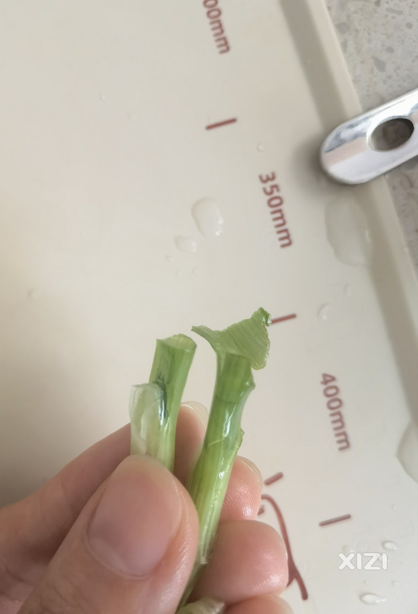 这对人体有害吗