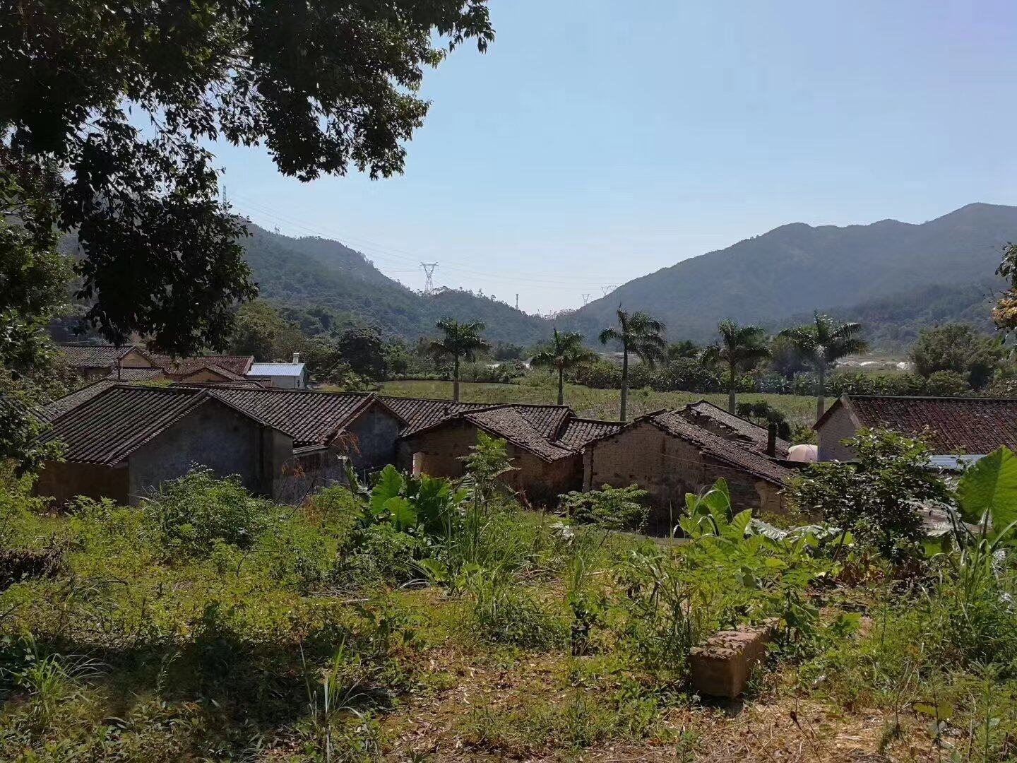 庐山真面目只缘身在此山中